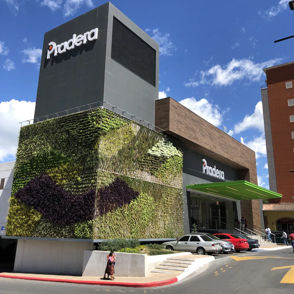 PRADERA XELA